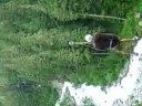 whistler zip trek