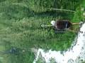 whistler zip trek