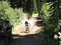 Downieville 2008