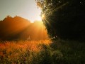 In The Morning Light - Yanni