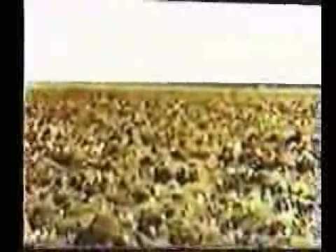 Somalia 1963 - Developments in the ...