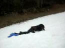 Simon en luge.