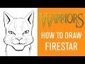 The Best 21 How To Draw Firestar From Warrior Cats