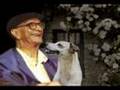 ALEGRIA - Mensagens Espíritas