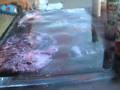spray painting in the harbor November 2008 part 3