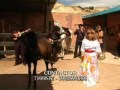 LA GUAYABITA