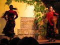 Flamenco Cordoba 1