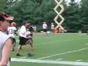 T.J. Houshmandzadeh at Training Camp