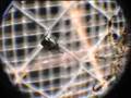 videos de Araña