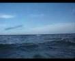 Jap Rock Snorkel Adventure