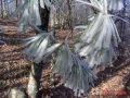 appalachian trail 2006