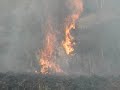 Ring of Fire- A Prescribed Burn