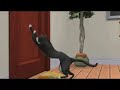 The Sims 2 Castaway - Where Have They Gone?