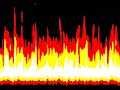 Bizzo Blaze.wmv