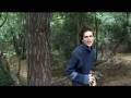 videos de Rare Sighting of The Mousehold Straggler