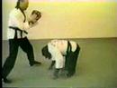 monkey karate