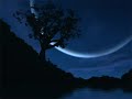 Mind Design - Equilibrium (Original Mix)