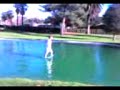 Steve looking for the golf balls