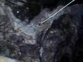 Verzasca Dam Bungee Jump 007