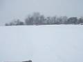 videos de Puma Stalker, 6x6 Amphibious, first time in the snow