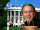Headzup: Bush\ Headzup: Bush\
