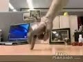 والله قويه تتصور في واحد مثله مجنون ذا