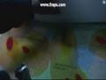 Jericho Season 1 Episode-18 A.K.A