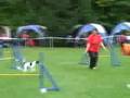 06.09.2008 1.KG Lauf Walldoft Jumping Open - Medi Fly