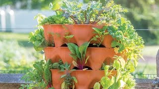 The Garden Tower 2