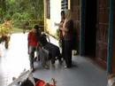 Bengkel Teater Belaga