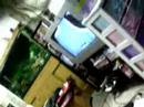 The monkey that randomly parties in my house decided to play playstation and get the pretty girl...