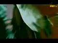   Ram-Zet - The Fall