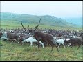 Komi song \"Zil´-Z´ol´\" Komi song \"Zil´-Z´ol´\"