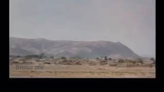 مخيم عقبة جبر عام 1995