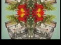 Saccharin Vision