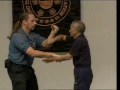Ip chun chi sau Shaun Rawcliffe and others.wmv