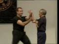 Ip chun chi sau Shaun Rawcliffe and others.wmv