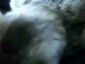 秘儀客殺しにヲタクも降参♡♥