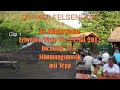 35.Koehlerwoche Erfweiler/Pfalz im Dahner Felsenland Di 22.05.2012 Stimmungsmusik mit Sepp T1