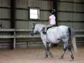 Sophia Riding Exhibition 7/25/08