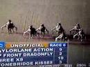 Taylorlane Action winning at Mohawk-May 18-07