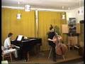 Adam Scheck plays W. Pichl: Studienconcert I.