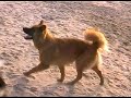 Treffen D�sseldorf 24022008