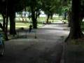 videos de Mickey skate 2ª tentativa