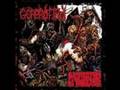Gorerotted - Stab Me Till I Cum
