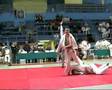 Judo Compilation Kodokan