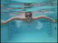 videos de Royal Caribbean Cruise Line, Kreuzfahrten, Kreuzfahrt, Cruises International, Carribbean, Caribbian