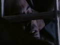 videos de Animal 2 Man - War