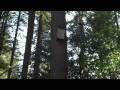 Around Lacamas Lake (Not HD)