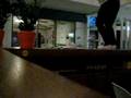 Bar Plant